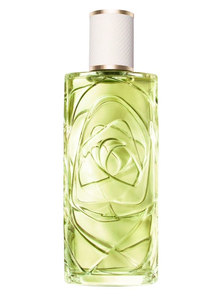 Ôff Now Lancôme for women and men 100ML