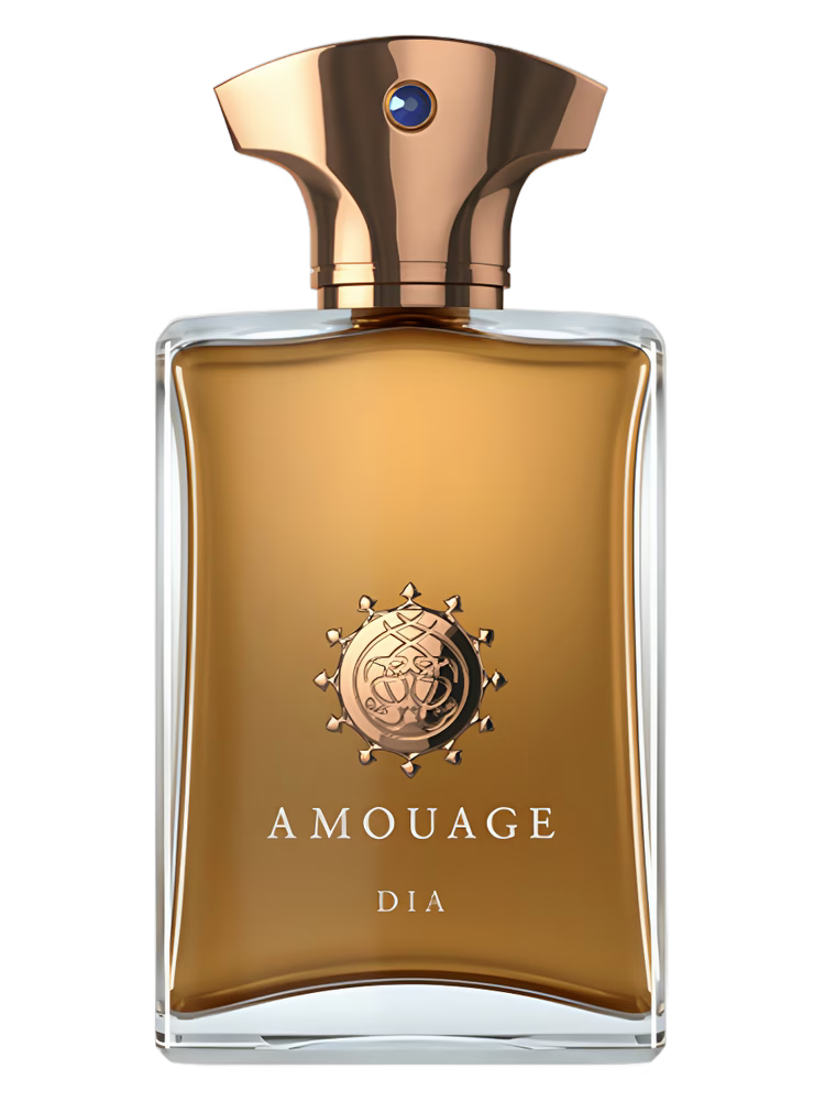 Dia Man Amouage for men 100ML